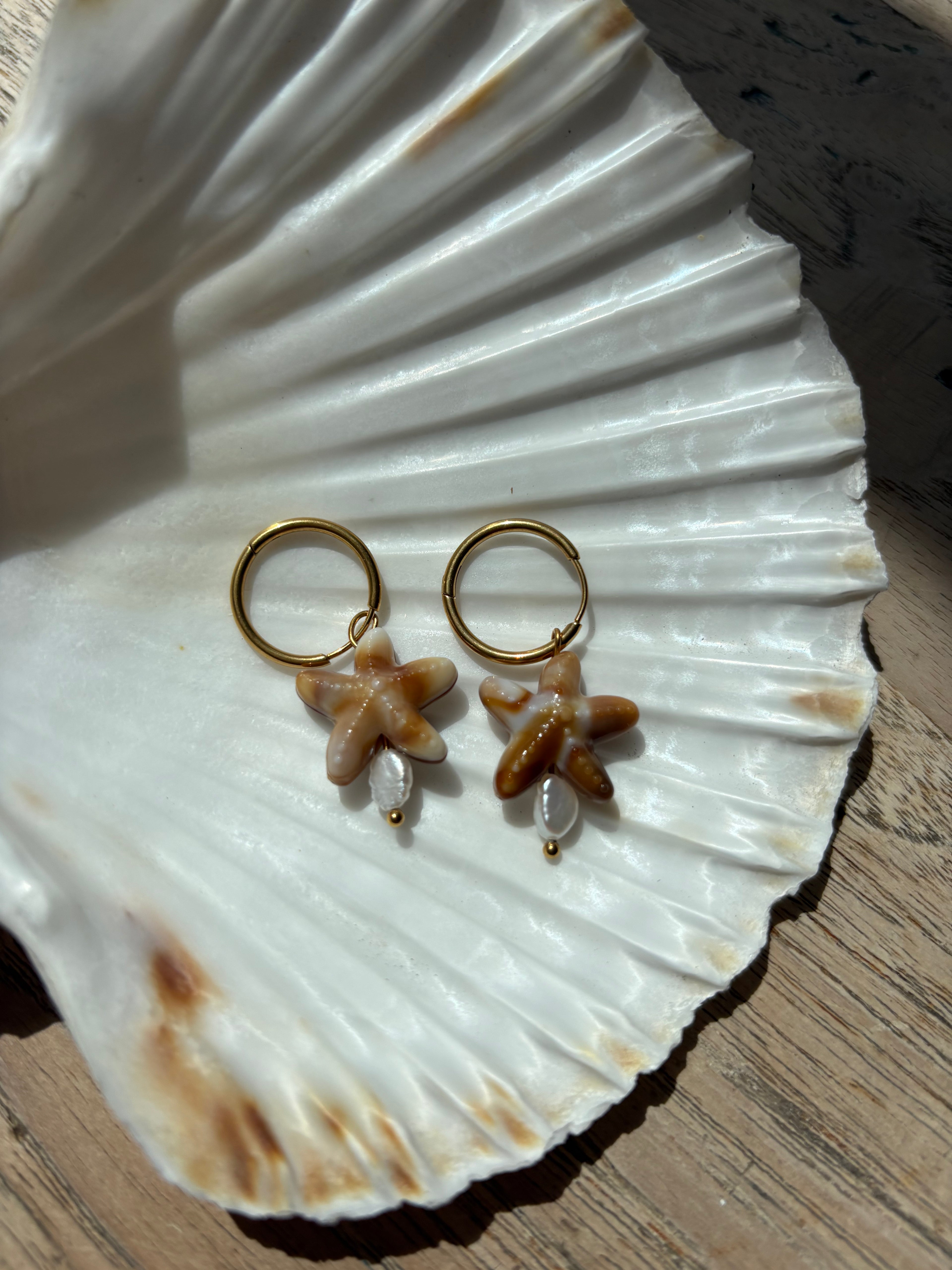 Sea Star Brown
