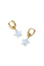 Sea Star